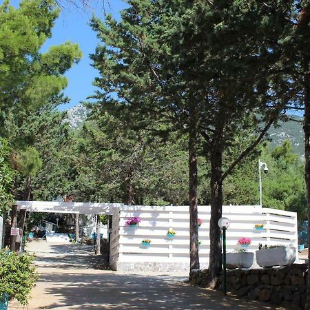 Camping Car Palmasera Hotell Cala Gonone Exteriör bild